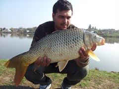 Moara Vlasiei 2 26 - 26 oct.